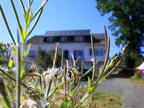 Sommerhus - 2 personer -  - Gartenstraße - 57632 - Flammersfeld