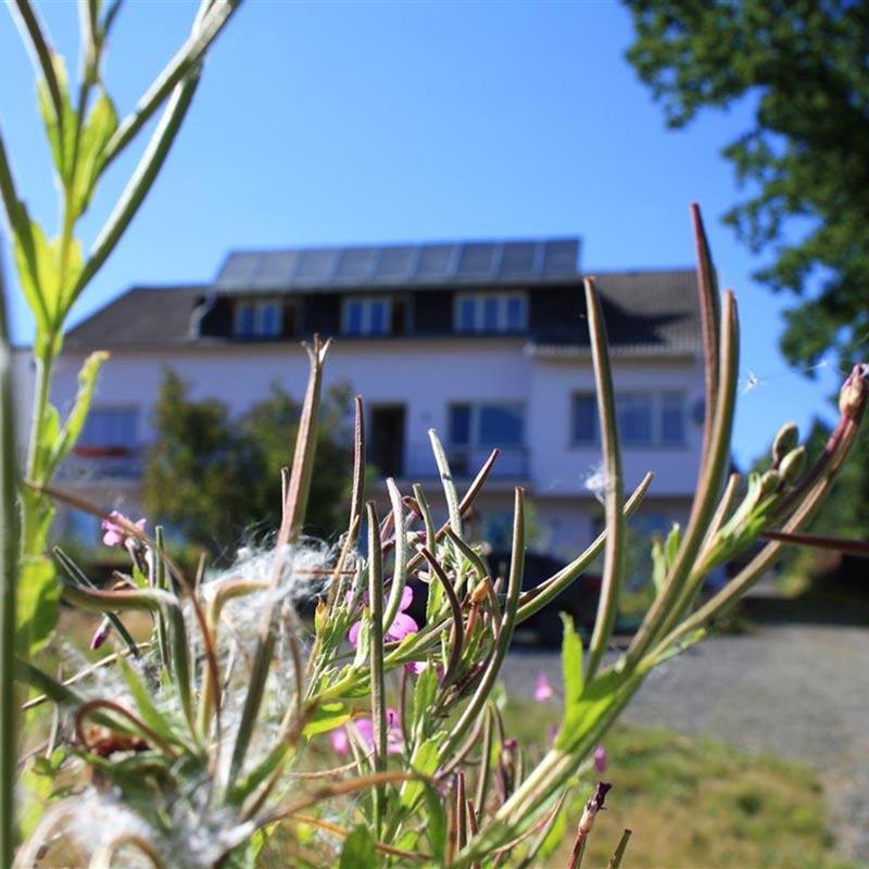 Ferielejlighed - 2 personer -  - Gartenstraße - 57632 - Flammersfeld