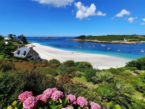 Sommerhus - 4 personer -  - Hameau de Mestevel - 29830 - Saint-Pabu