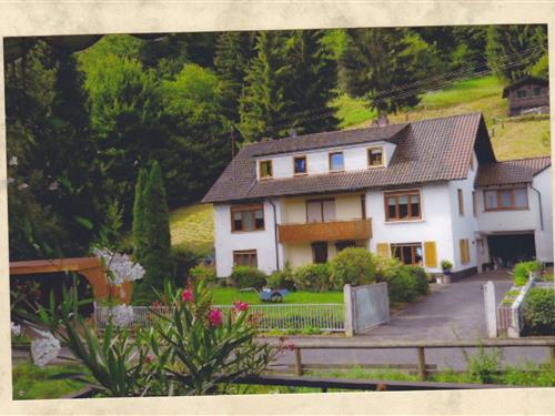 Sommerhus - 4 personer -  - Sauerberg - 97833 - Frammersbach