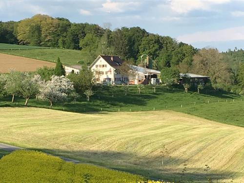 Semesterhus/Semesterlägenhet - 4 personer -  - Waldhof - 5425 - Schneisingen