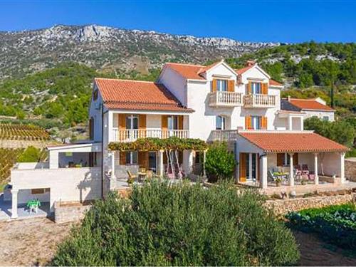 Ferielejlighed - 3 personer -  - GORNJE PODBARJE - Brac - Bol - 21420 - Bol