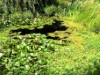 Bild 17