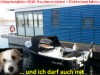 Bilde 8