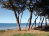 Billede 17