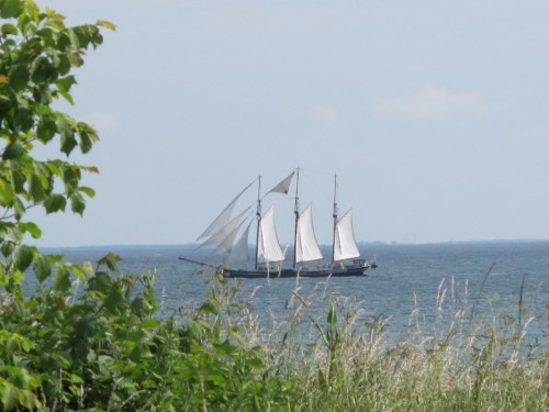 Ferienwohnung - 3 Personen -  - Rethen - 23769 - Fehmarn Ot Marienleuchte