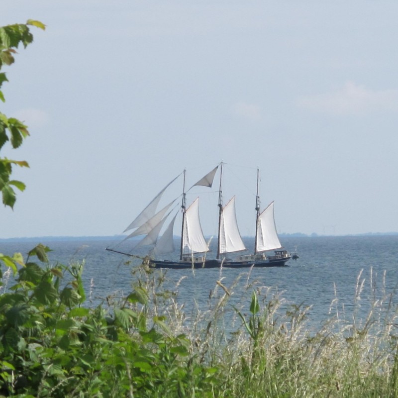 Ferielejlighed - 3 personer -  - Rethen - 23769 - Fehmarn Ot Marienleuchte
