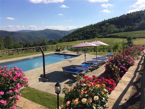 Ferienhaus - 7 Personen -  - Cortona - 52044