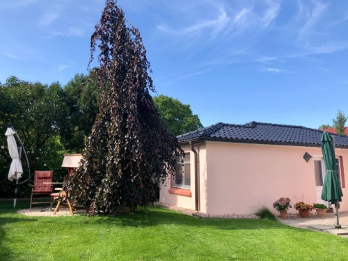 Ferielejlighed - 2 personer -  - Feldstraße - 18347 - Wustrow