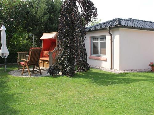 Holiday apartment - 2 persons -  - Feldstraße - 18347 - Wustrow