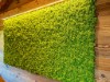 Bild 44