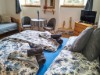 Bild 3 - Inde