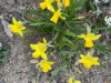 Bild 32