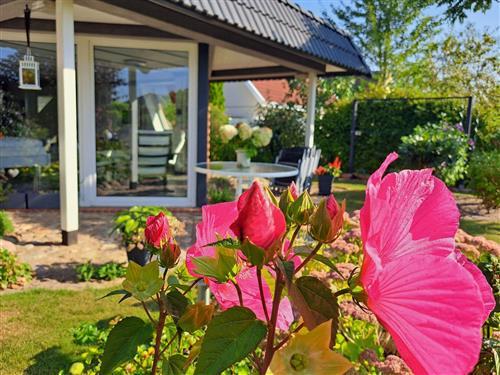 Ferienwohnung - 3 Personen -  - Ahornweg - 18311 - Ribnitz-Damgarten / Klock