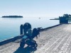 Billede 31