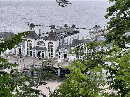 Ferieleilighet - 3 personer -  - Seeparkpromenade - 18586 - Sellin