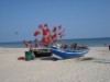Bild 17