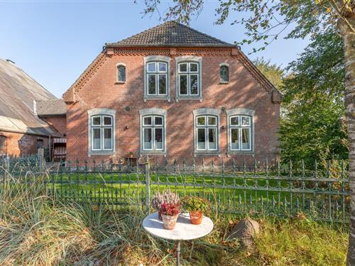 Ferienhaus - 4 Personen -  - Süden - 25889 - Witzwort