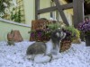Bild 14