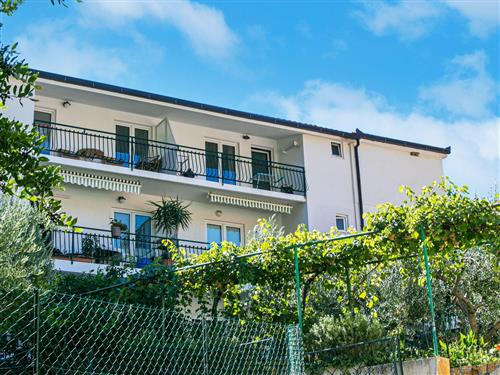 Ferielejlighed - 2 personer -  - Kneza Domagoja - 21330 - Gradac