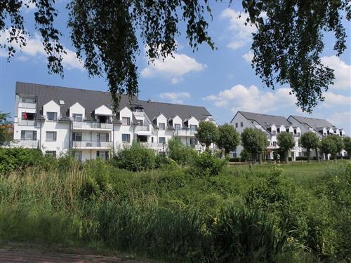 Holiday apartment - 4 persons -  - Ostseeallee - 23946 - Boltenhagen