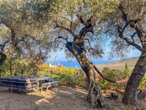 Feriehus - 6 personer -  - Diano Marina - 18013