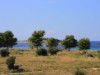 Bilde 33