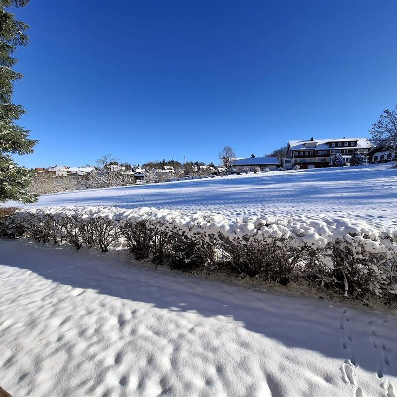 Ferielejlighed - 2 personer -  - Hindenburgstraße - 38700 - Braunlage / Hohegeiß