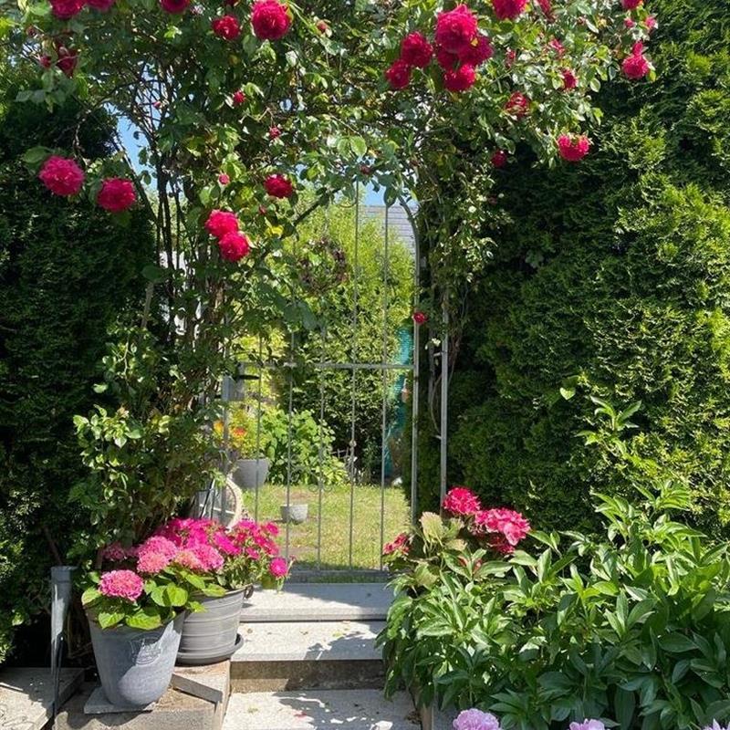 Ferielejlighed - 4 personer -  - Sternbergstraße - 72525 - Münsingen