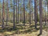 Bilde 3 - Ude