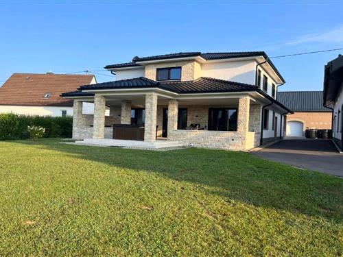 Villa - 6 personer -  - 54578 - Wiesbaum