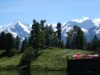 Bild 30 - Ude