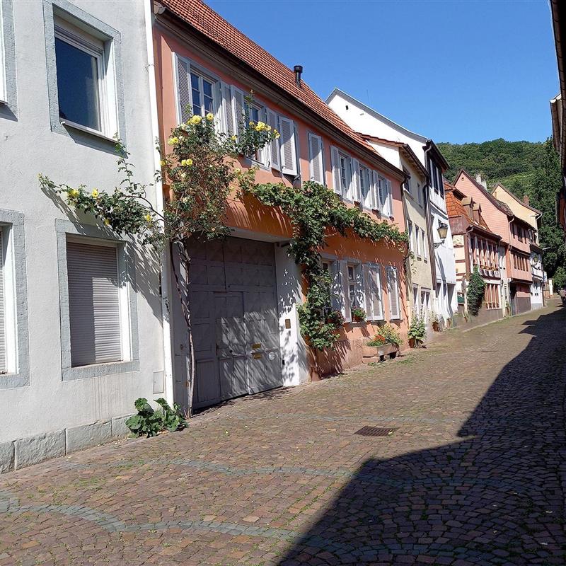 Ferielejlighed - 6 personer -  - Rathausstraße - 67433 - Neustadt An Der Weinstraß