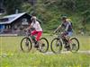 Bild 42
