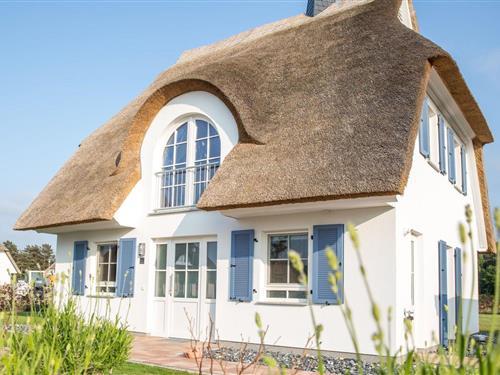 Sommerhus - 5 personer -  - Am Schwanenschlage - 18356 - Fuhlendorf