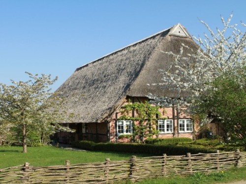 Ferienhaus - 2 Personen -  - 23883 - Seedorf