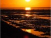 Bilde 39