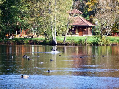 Feriehus / leilighet - 2 personer -  - Lindenstraße - 66996 - Ludwigswinkel