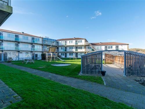 Holiday apartment - 4 persons -  - 1759GH - Callantsoog