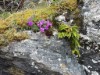 Billede 12 - Inde