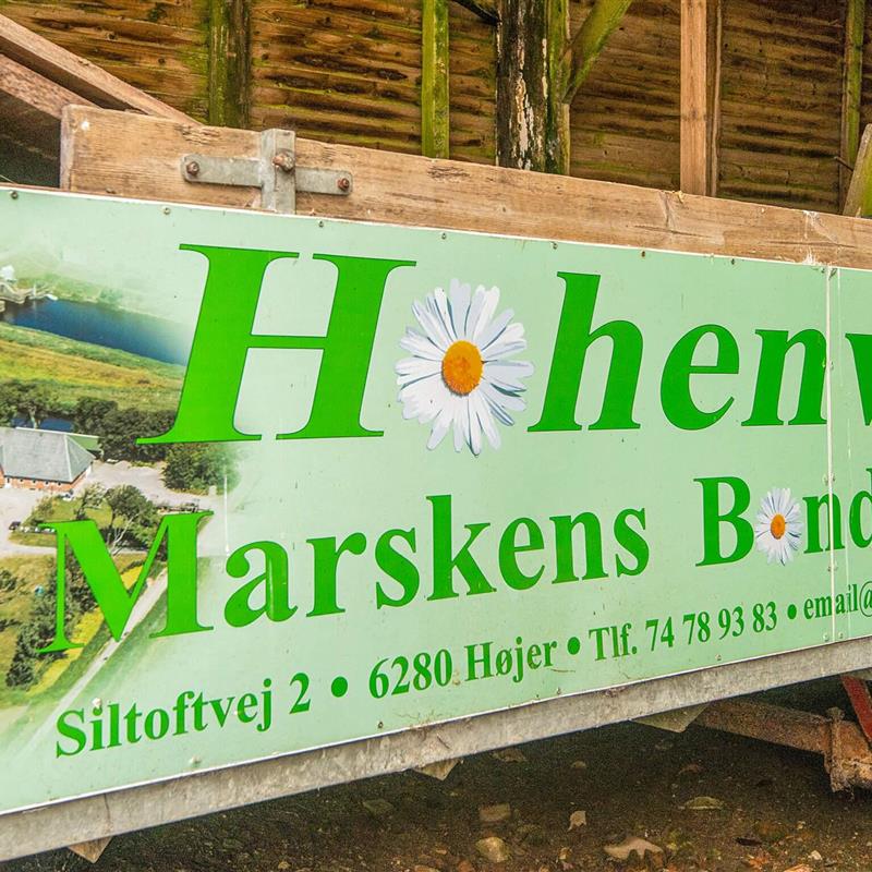 Ferienhaus - 4 Personen -  - SILTOFTVEJ 2, lejl. - 6280 - Höjer