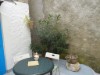 Bild 10 - Aussen