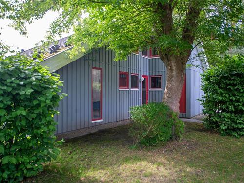 Sommerhus - 6 personer -  - Walter-Gotsmann-Straße - 17252 - Mirow