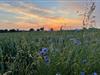 Bild 38