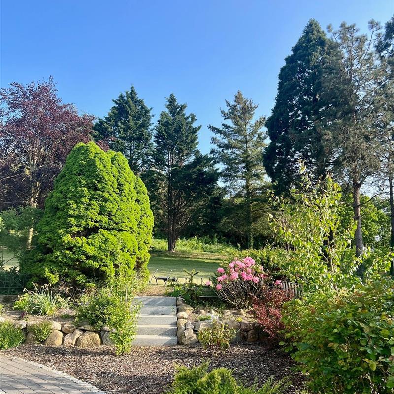 Ferielejlighed - 4 personer -  - Mariendorf - 18586 - Mariendorf