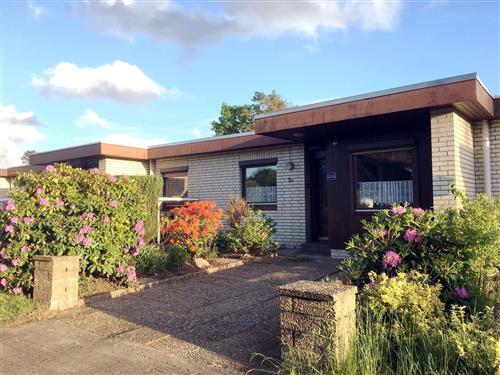 Feriehus - 4 personer -  - Hechthausen - 21755