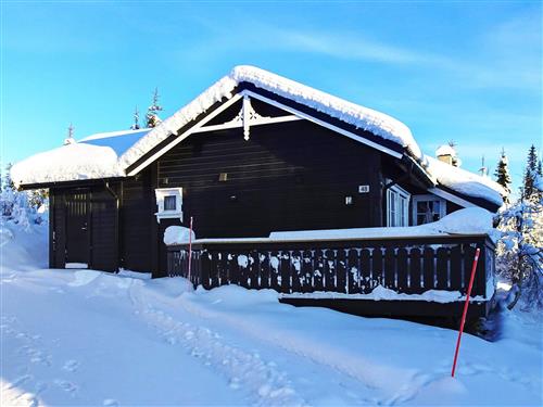  - 10 Personen -  - Skeikampen Fjellandsby, Tun 14, Hytte - Skeikampen - 2652 - Svingvoll
