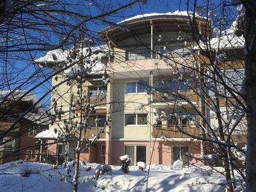 Ferielejlighed - 5 personer -  - Bachstrasse 10, Top - 5761 - Maria Alm Am Steinernen M