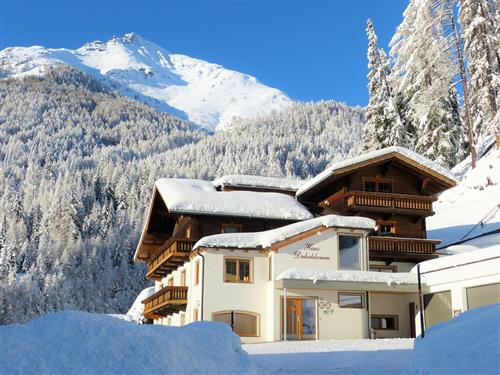 Semesterhus/Semesterlägenhet - 2 personer -  - Burg - 9981 - Kals Am Großglockner