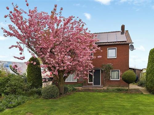 Holiday home - 18 persons -  - Kerkweg - 4151 BS - Acquoy